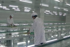 食品净化车间建材的选取与要求